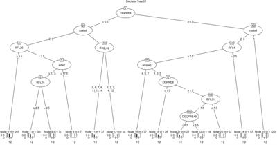 Acute Mental Discomfort Associated with Suicide Behavior in a Clinical Sample of Patients with Affective Disorders: Ascertaining Critical Variables Using Artificial Intelligence Tools